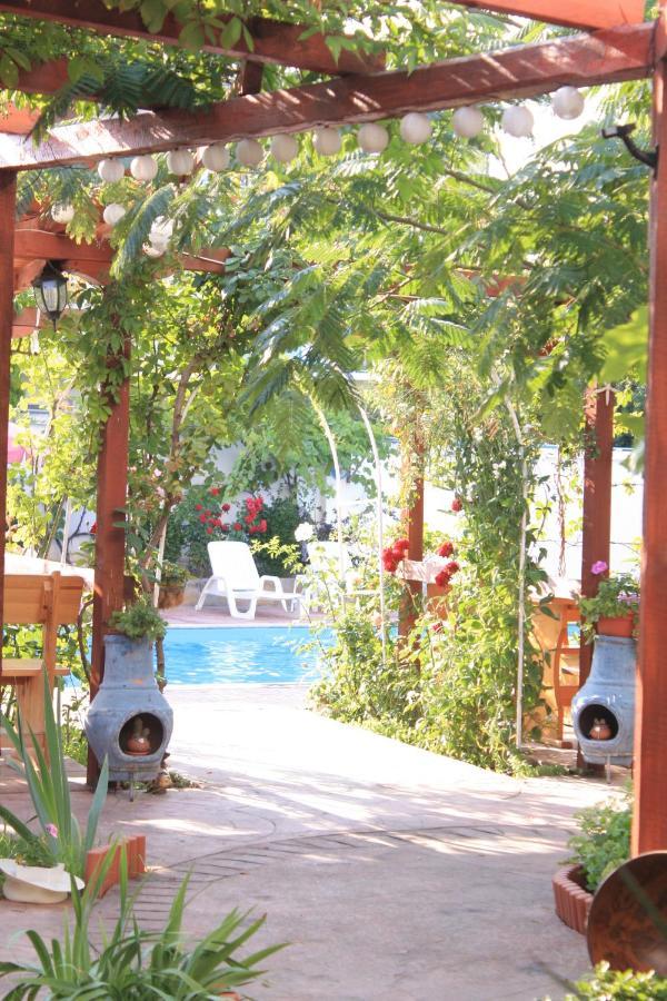 Alba Family Club Hotel Primorsko Bagian luar foto
