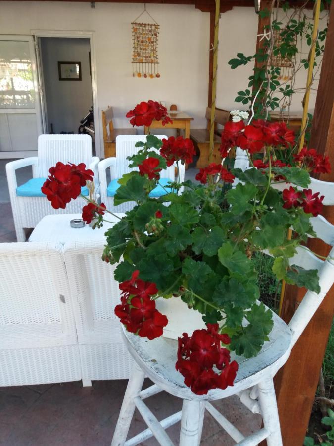 Alba Family Club Hotel Primorsko Bagian luar foto