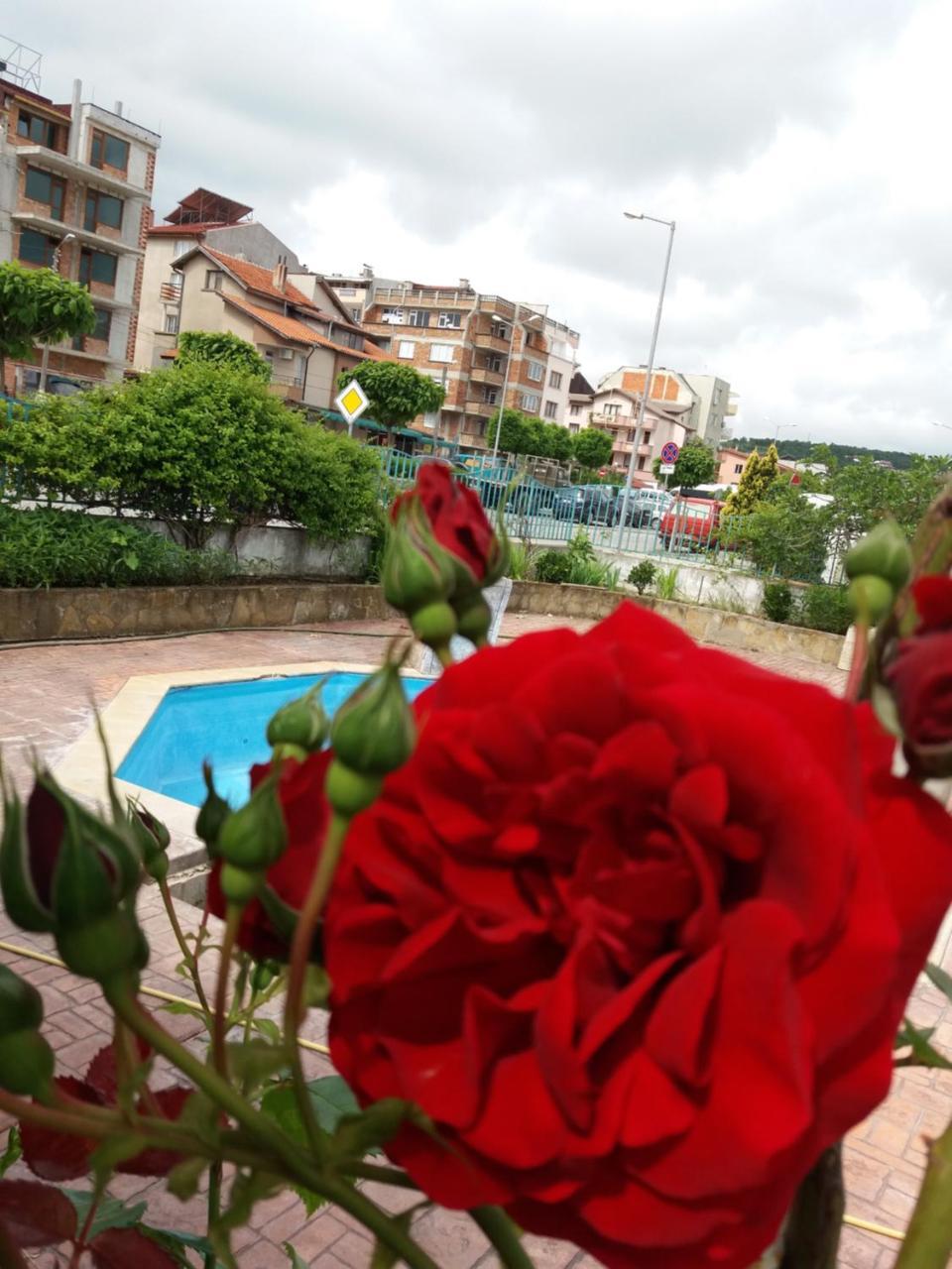 Alba Family Club Hotel Primorsko Bagian luar foto