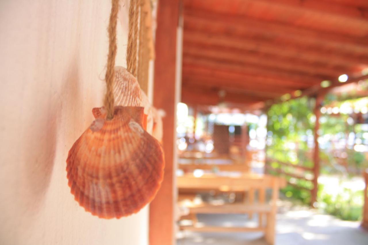 Alba Family Club Hotel Primorsko Bagian luar foto