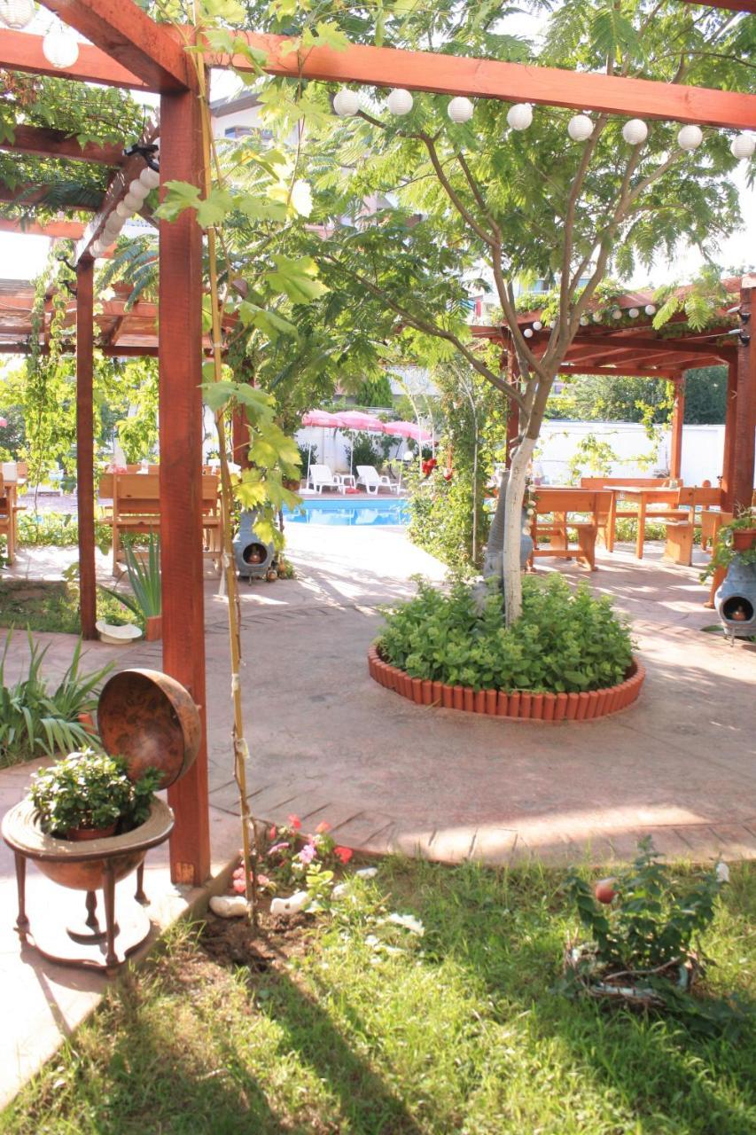 Alba Family Club Hotel Primorsko Bagian luar foto