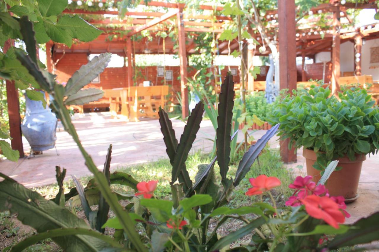 Alba Family Club Hotel Primorsko Bagian luar foto