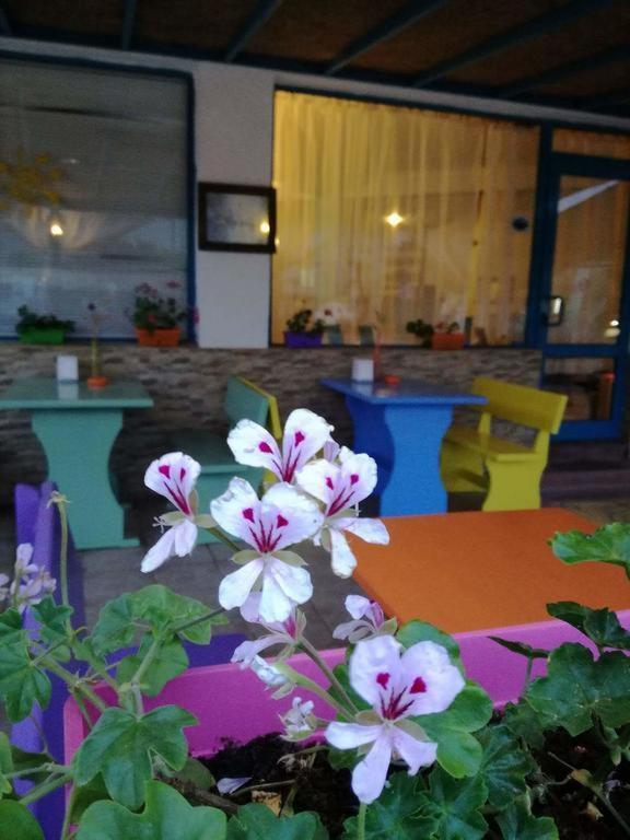 Alba Family Club Hotel Primorsko Bagian luar foto